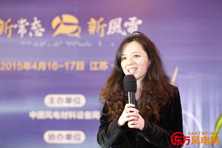 3M中國(guó)有限公司風(fēng)電事業(yè)部經(jīng)理-陶理