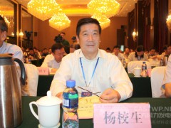 中國農(nóng)機(jī)工業(yè)協(xié)會風(fēng)能設(shè)備分會楊校生理事長、
