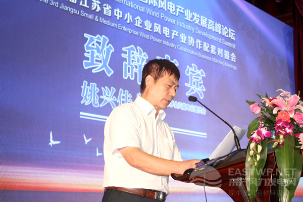 中國可再生能源學(xué)會(huì)風(fēng)能專業(yè)委員會(huì)理事長姚興佳先生