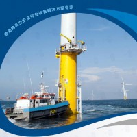3S Lift 可旋轉(zhuǎn)吊機，海上平臺吊機圖片1