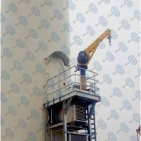 中際聯(lián)合3slift船舶吊機(jī)，平臺(tái)吊裝貨物設(shè)備圖片1